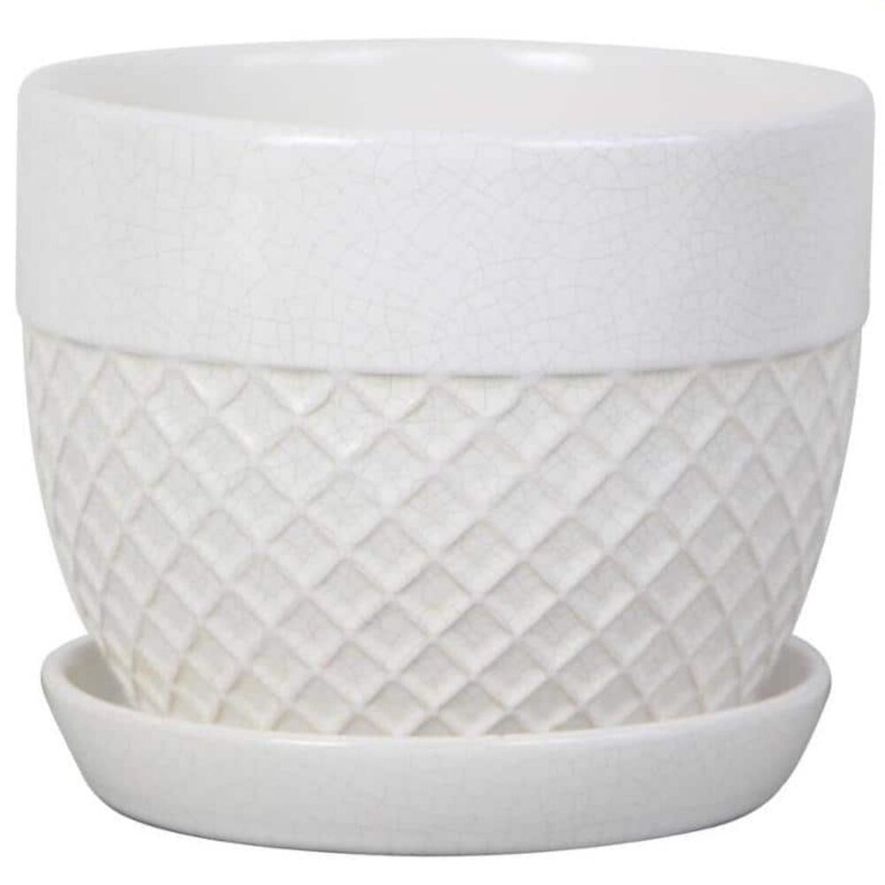 6 in. Delilah Glazed Ceramic Planter Pot with Drainage Hole and Saucer